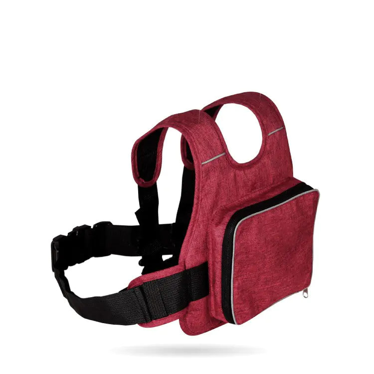 Kid Rider Motorcycle Harness
